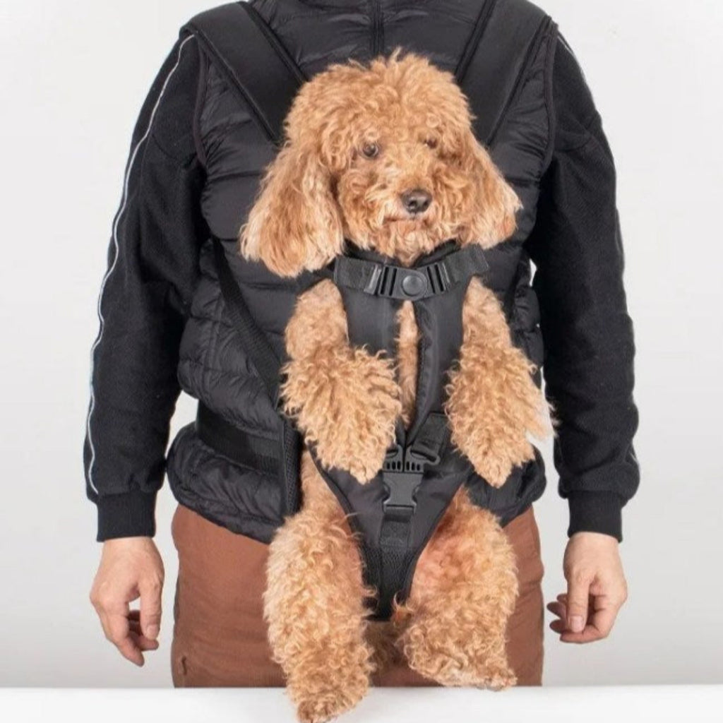 Sac Ventral Porte-Chien pour Randonnée
