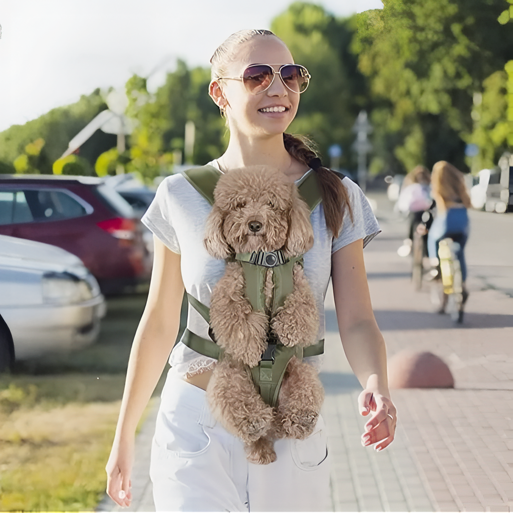 Sac Ventral Porte-Chien pour Randonnée