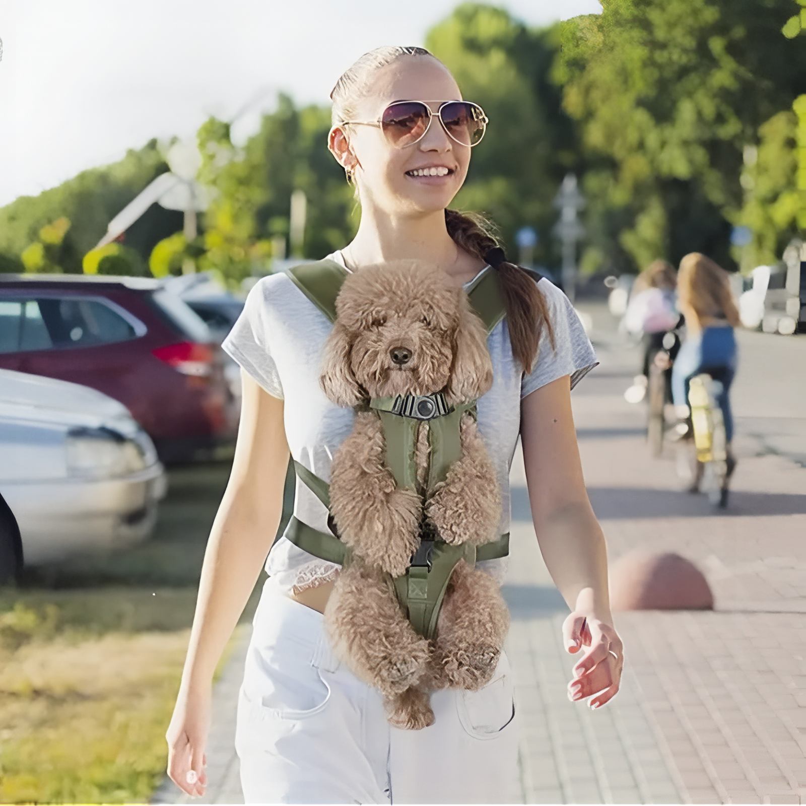 Sac Ventral Porte-Chien pour Randonnée