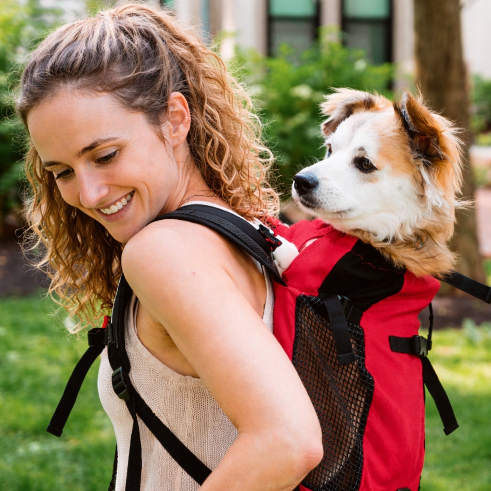 Sac à dos Porte  chien randonnée