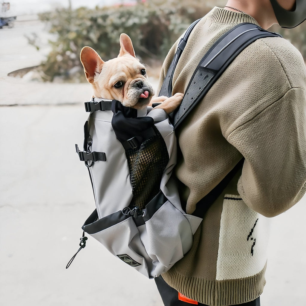Sac à dos Porte  chien randonnée