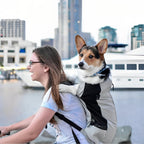 Sac à dos Porte  chien randonnée
